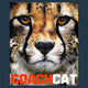 CoachCat: Intelligent Improvement to Ride Faster