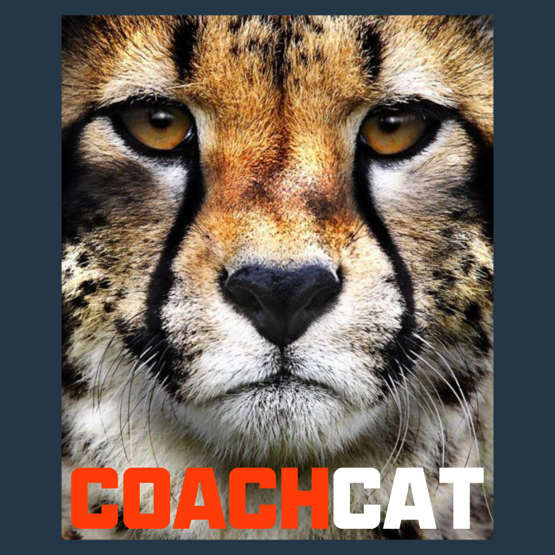 AI Coaching - Instant Workout Analysis, introducing CoachCat – FasCat ...