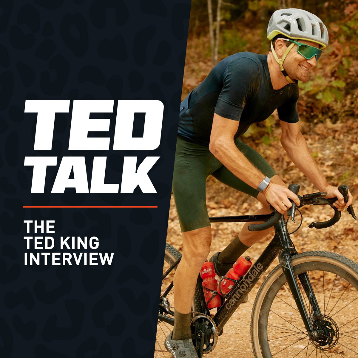 Podcast: The Ted King Interview