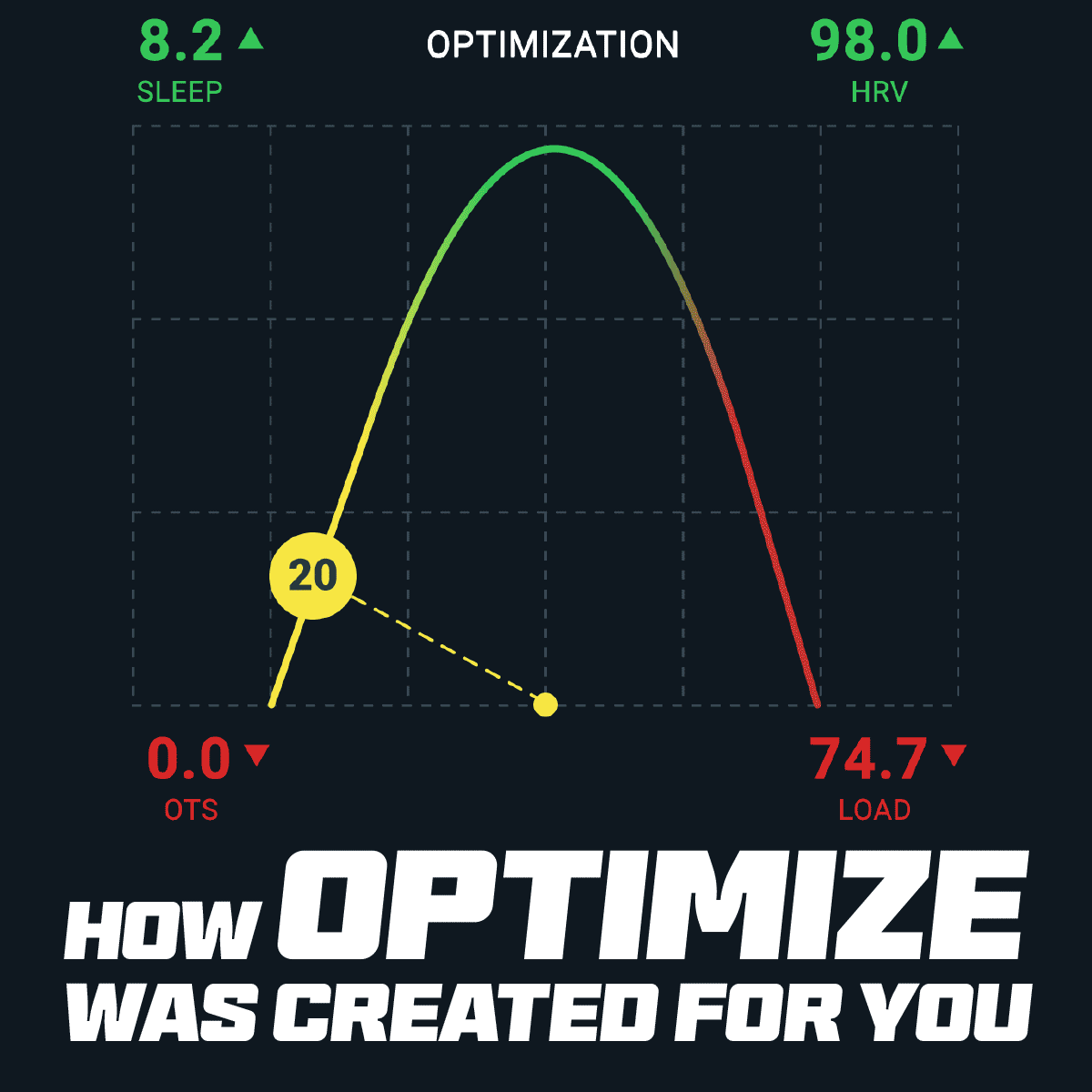 Why We Created Optimize – FasCat Coaching