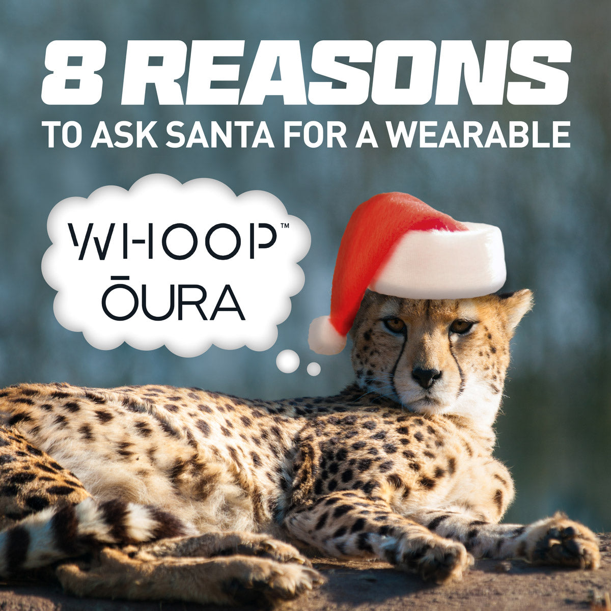 8 reasons to ask Santa for a Wearable