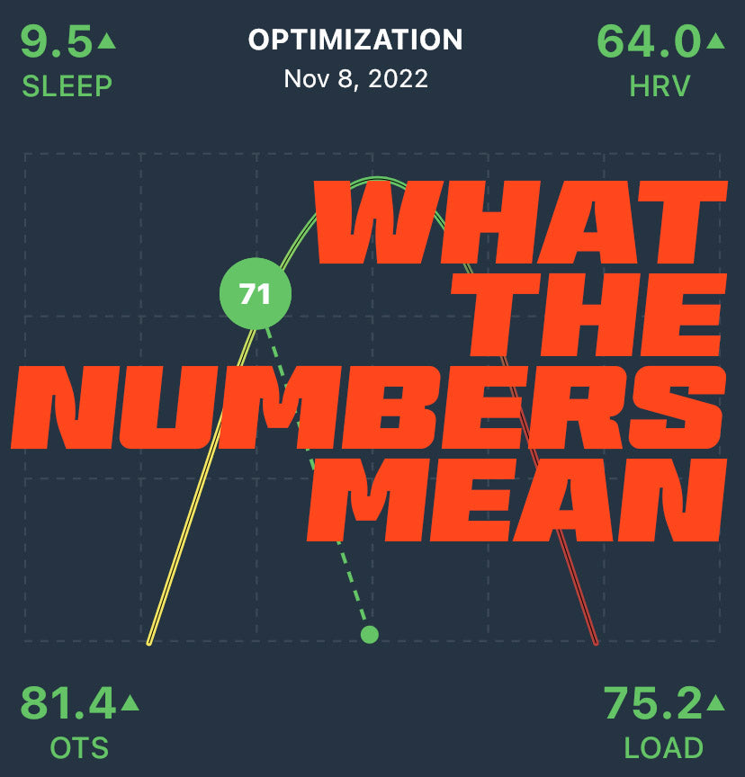 What do the Optimize numbers mean?