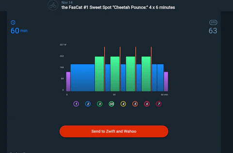 Workout Instructions – FasCat Coaching