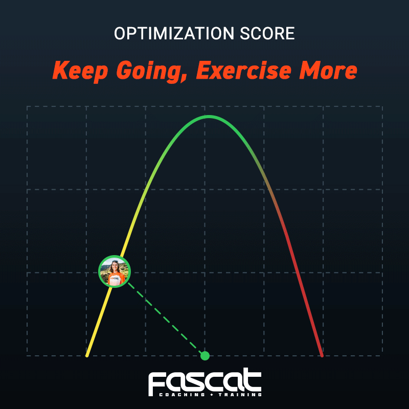 The Optimized Stress - Recovery Visualization