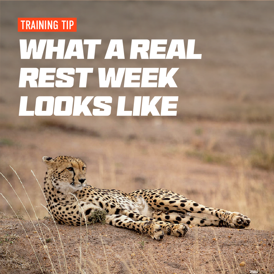 What does a Proper Rest Week Looks Like? – FasCat Coaching