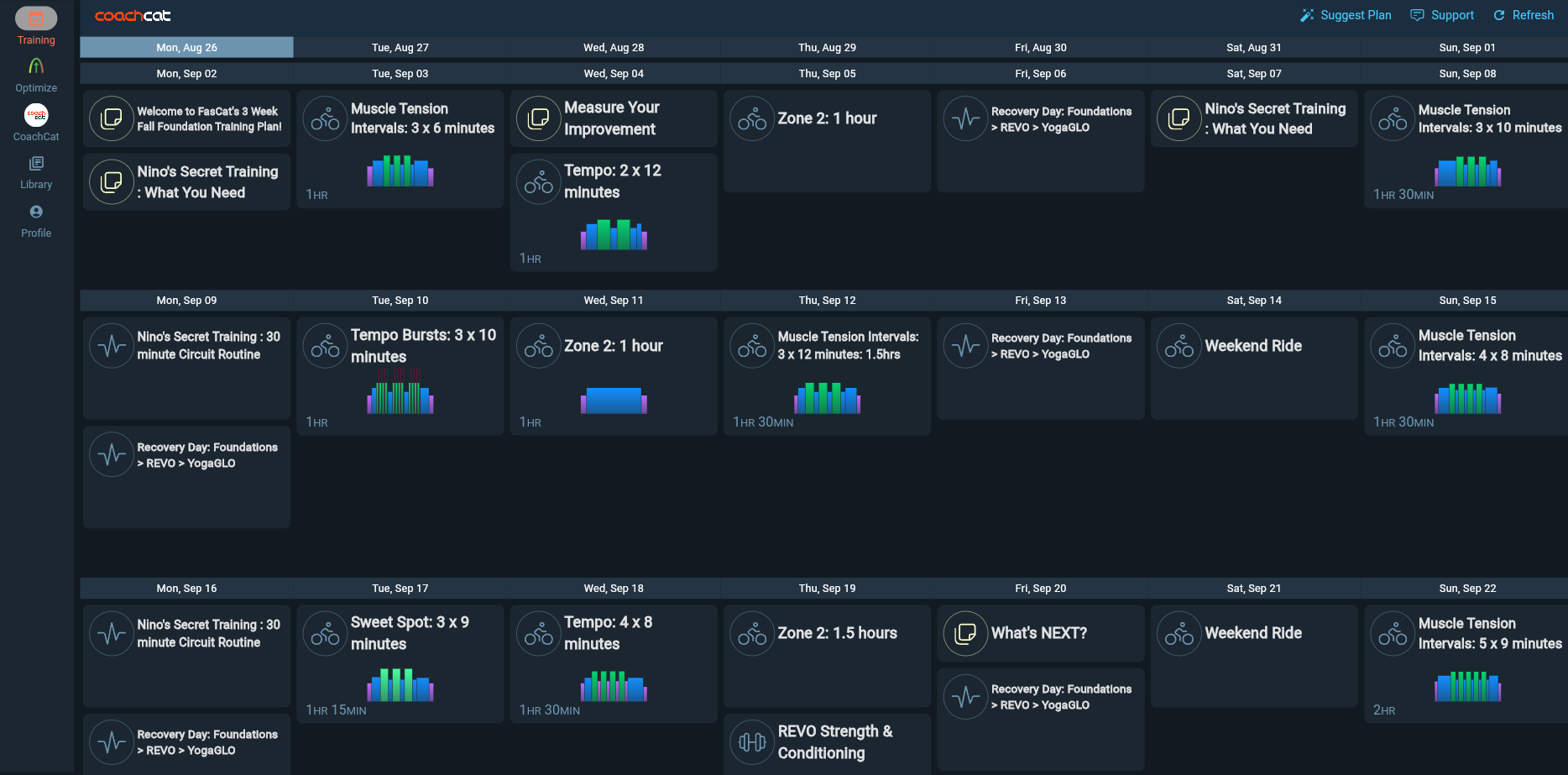 Foundation : 3 Weeks – FasCat Coaching
